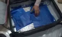 सूरत एयरपोर्ट पर अंतरराष्ट्रीय यात्री से 8.907 किलो हाइड्रोपोनिक वीड बरामद — ₹3.10 करोड़ की खेप जब्त, CISF–DCB–कस्टम की संयुक्त कार्रवाई