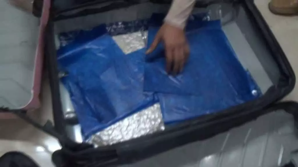 सूरत एयरपोर्ट पर अंतरराष्ट्रीय यात्री से 8.907 किलो हाइड्रोपोनिक वीड बरामद — ₹3.10 करोड़ की खेप जब्त, CISF–DCB–कस्टम की संयुक्त कार्रवाई