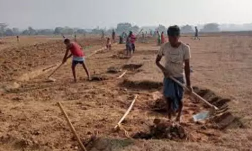 देशभर में ग्रामीण रोजगार गारंटी योजना के नए नामकरण पर चर्चा तेज, सरकार कर रही व्यापक समीक्षा