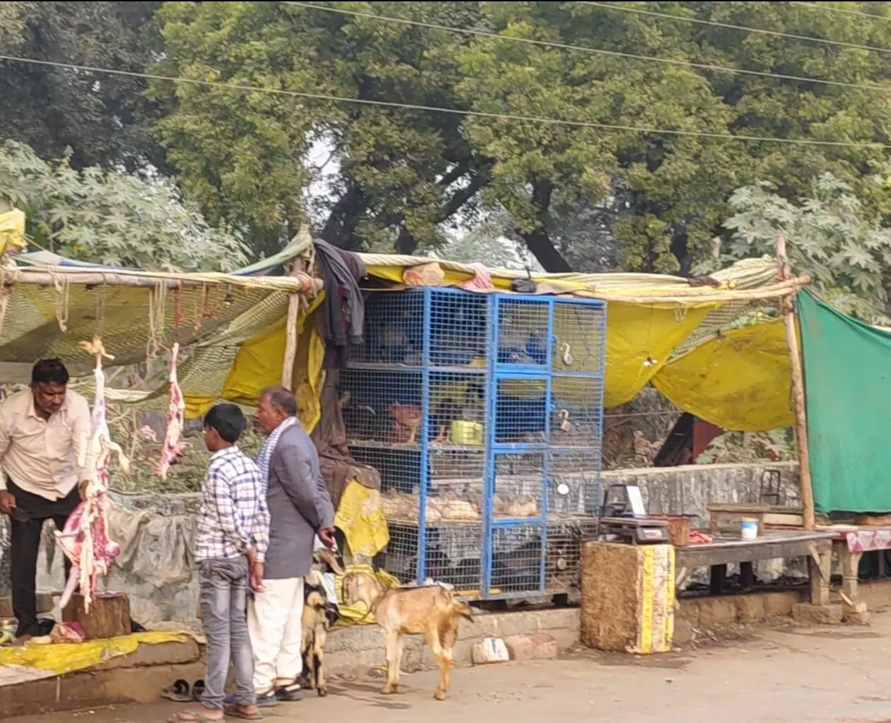 चंदौली: जिला प्रशासन के नाक के नीचे अवैध मीट - मुर्गे का कारोबार, महकमा बना मूकदर्शक! चंदौली: जिला प्रशासन के नाक के नीचे अवैध मीट - मुर्गे का कारोबार, महकमा बना मूकदर्शक!