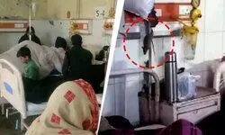 ऑर्थो वार्ड में इलाज के साथ चूहों का खतरा, वायरल वीडियो के बाद प्रशासन हरकत में  गोंडा मेडिकल कॉलेज में स्वच्छता पर सवाल, डीएम की नाराजगी के बाद जांच शुरू