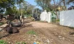 प्राथमिक विद्यालय भाऊपुर के गेट पर अवैध कब्जा, बच्चों की सुरक्षा से खुला खिलवाड़