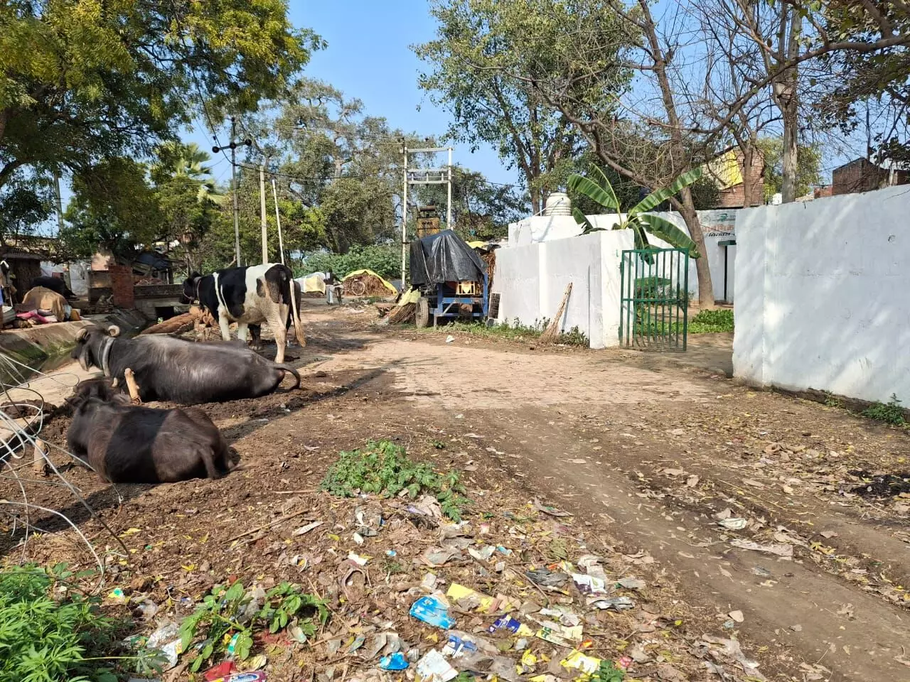 प्राथमिक विद्यालय भाऊपुर के गेट पर अवैध कब्जा, बच्चों की सुरक्षा से खुला खिलवाड़