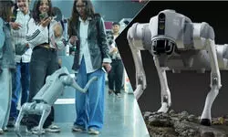 AI Summit 2026 में रोबोटिक डॉग विवाद : Galgotias University की सफाई के बीच विपक्ष के तंज से तेज हुई बहस