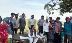 आलू के गिरते दामों पर बोले शिवपाल सिंह यादव, MSP पर सरकारी खरीद की उठाई मांग