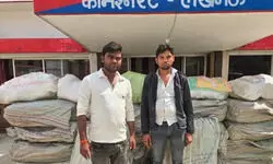 लखनऊ: STF का बड़ा एक्शन, 7.33 क्विंटल गांजे के साथ दो तस्कर गिरफ्तार