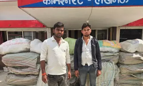 लखनऊ: STF का बड़ा एक्शन, 7.33 क्विंटल गांजे के साथ दो तस्कर गिरफ्तार