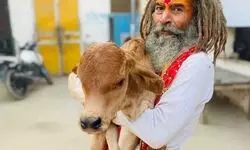 मथुरा में गोरक्षक की मौत के बाद बवाल, हाईवे पर घंटों जाम, 100 से अधिक पुलिसकर्मी घायल