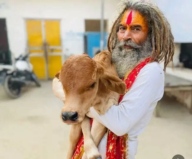 मथुरा में गोरक्षक की मौत के बाद बवाल, हाईवे पर घंटों जाम, 100 से अधिक पुलिसकर्मी घायल मथुरा में गोरक्षक की मौत के बाद बवाल, हाईवे पर घंटों जाम, 100 से अधिक पुलिसकर्मी घायल