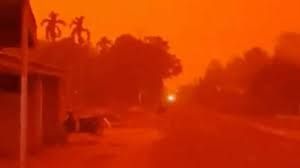 जंगल में जब से सोशल मीडिया ने पांव पसारा.... जंगल में जब से सोशल मीडिया ने पांव पसारा....