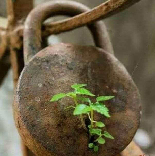 किसी ने कहा धर्म छुट्टी पर है... किसी ने कहा धर्म छुट्टी पर है...