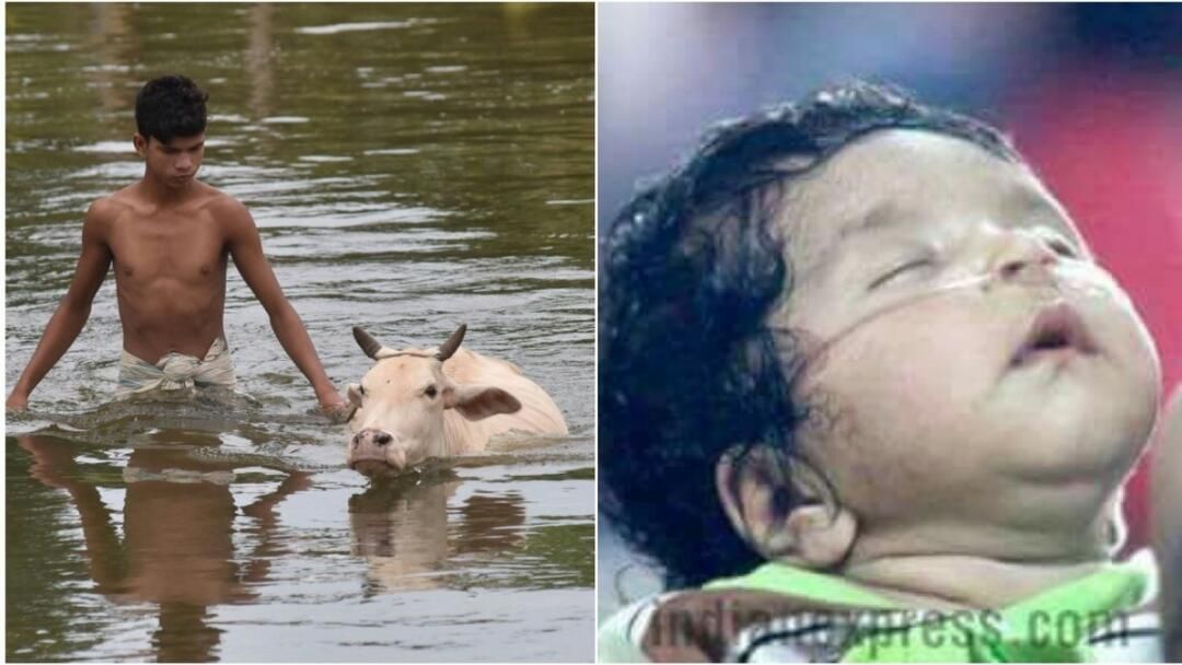 सिनिकल लोग संवेदनशील होने का शॉल ओढ़कर मुद्दों के मज़े लेते हैं सिनिकल लोग संवेदनशील होने का शॉल ओढ़कर मुद्दों के मज़े लेते हैं
