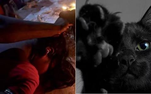 चोटी कटवा की अफवाह, किसी को तांत्रिक दिखा तो किसी को बिल्ली चोटी कटवा की अफवाह, किसी को तांत्रिक दिखा तो किसी को बिल्ली