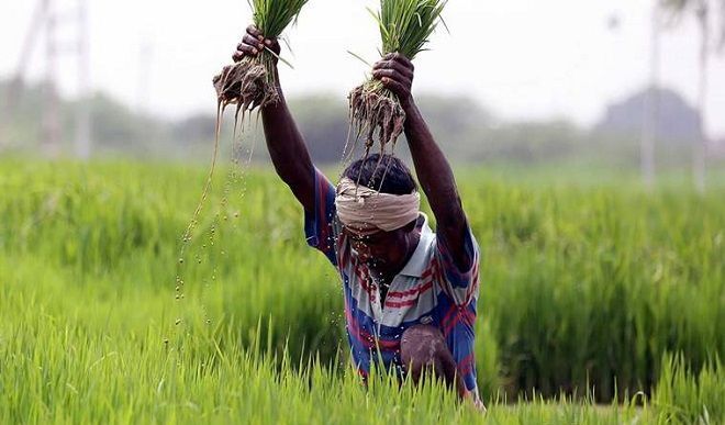 कृषि अध्यादेश - 2020, मोदी और किसान आंदोलन