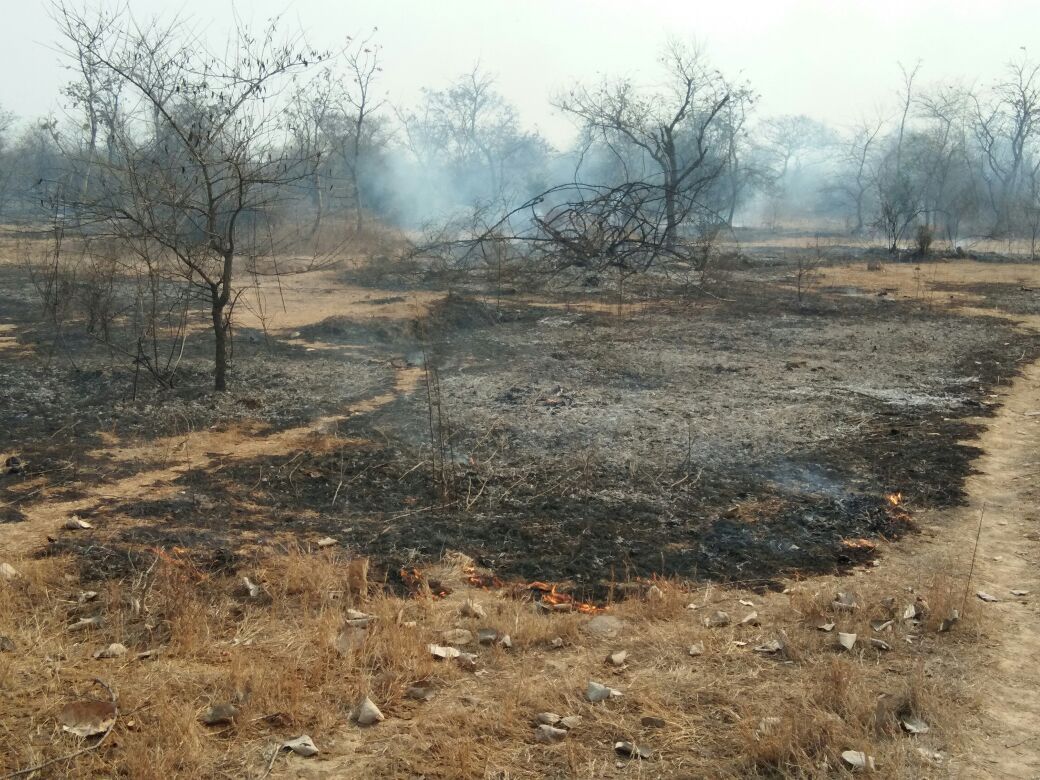 मेजा/इलाहाबाद अज्ञात कारणों से मेजा के जंगल में लगी भीषण आग चार पांच किलोमीटर के दायरे में आग का तांडव तीन फायर ब्रिगेड और वन कर्मियों ने पाया आग पर काबू बडा हादसा टला।