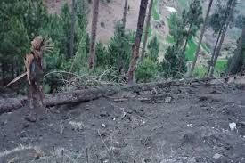 बालाकोट एयर स्ट्राइक: विदेशी पत्रकार का दावा- 130-170 जैश-ए-मोहम्मद आतंकी मारे गए बालाकोट एयर स्ट्राइक: विदेशी पत्रकार का दावा- 130-170 जैश-ए-मोहम्मद आतंकी मारे गए