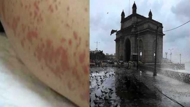 बाढ़ के बाद मुंबई में फैली खतरनाक बीमारी, 24 घंटे में दम तोड़ रहे मरीज, 4 की मौत बाढ़ के बाद मुंबई में फैली खतरनाक बीमारी, 24 घंटे में दम तोड़ रहे मरीज, 4 की मौत
