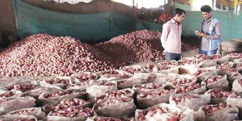 टमाटर के तेवर ढीले, भाव खाने लगा प्याज टमाटर के तेवर ढीले, भाव खाने लगा प्याज