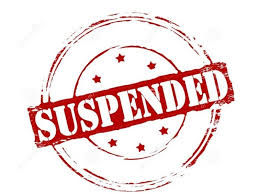 सरकारी कार्यों में लापरवाही बरतने पर लेखपाल  को किया निलंबित