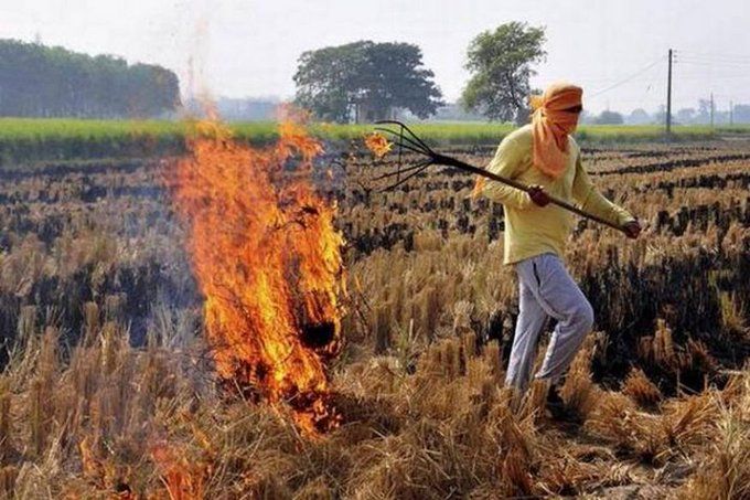वेस्ट यूपी के किसानों पर गिरी गाज, पराली जलाने पर जुर्माना और FIR के आदेश
