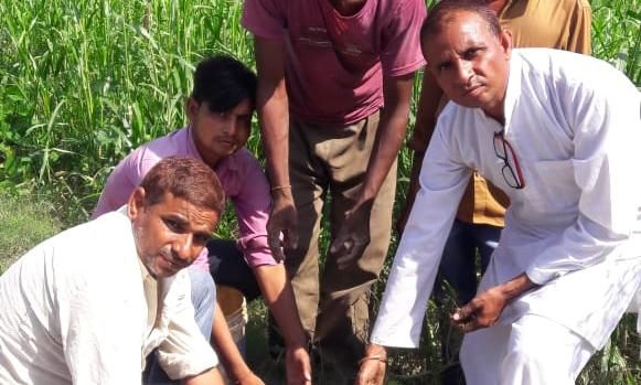 नागरिक एकता परिषद के तत्वाधान में किया गया पौधरोपण नागरिक एकता परिषद के तत्वाधान में किया गया पौधरोपण