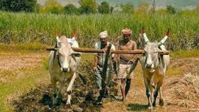 लोकसभा चुनावों से पहले किसानों के खातों में आएंगे 4000 रुपये