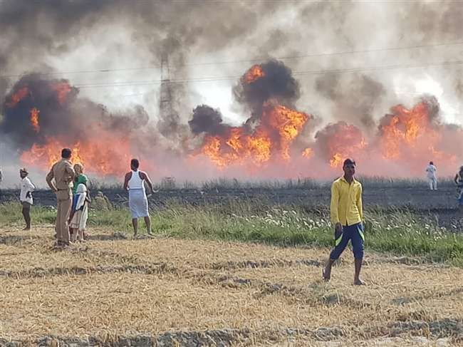 सचेंडी के दो गांवों में भीषण आग, एक हजार बीघा गेहूं की फसल जली, किसानों में हाहाकार
