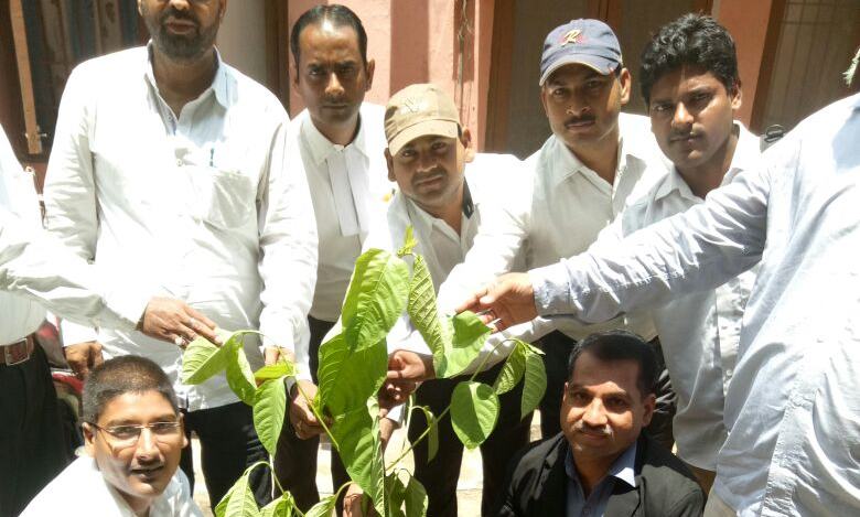 लोहिया वाहिनी अध्यक्ष धर्मेंद्र मिश्र ने अधिवक्ताओं संघ किया वृक्षारोपण-जेपी यादव लोहिया वाहिनी अध्यक्ष धर्मेंद्र मिश्र ने अधिवक्ताओं संघ किया वृक्षारोपण-जेपी यादव