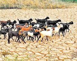 झांसी-ललितपुर निर्वाचन क्षेत्र के पांच गांव के वोटरों ने किया चुनाव बहिष्कार, कहा- पानी नहीं तो वोट नहीं झांसी-ललितपुर निर्वाचन क्षेत्र के पांच गांव के वोटरों ने किया चुनाव बहिष्कार, कहा- पानी नहीं तो वोट नहीं