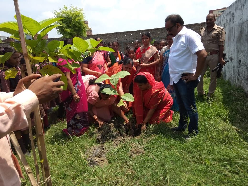 प्रदूषण रोकने में वृक्षों की अहम भूमिका डॉक्टर ---लीना तिवारी प्रदूषण रोकने में वृक्षों की अहम भूमिका डॉक्टर ---लीना तिवारी