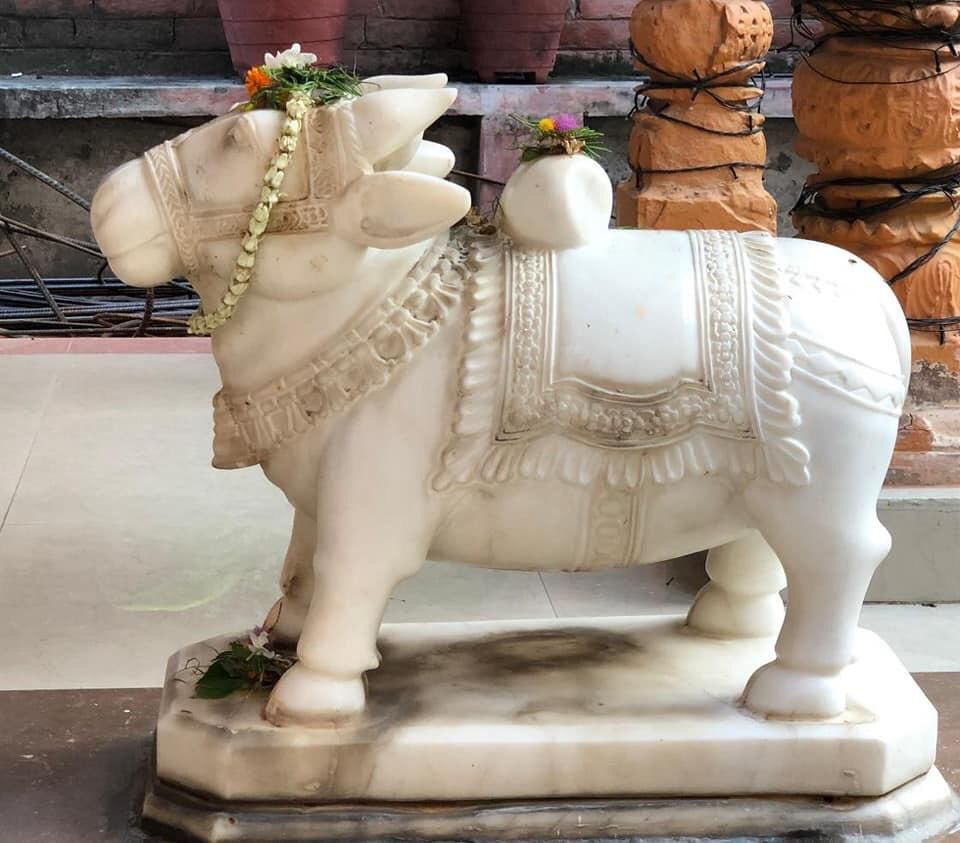 वाराणसी : नर्मदेश्वर महादेव मन्दिर अस्सी पर स्थित है लगभग 300 वर्ष पुराना है यहाँ नन्दी जी खड़े रहते हैं, खड़े नन्दी का बहुत ही दुर्लभ मूर्ति है.....हर हर महादेव.....