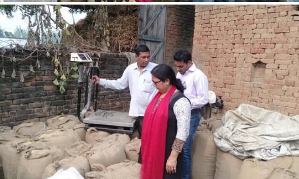 तहसीलदार ने धान खरीद केंद्रों का किया निरीक्षण तहसीलदार ने धान खरीद केंद्रों का किया निरीक्षण