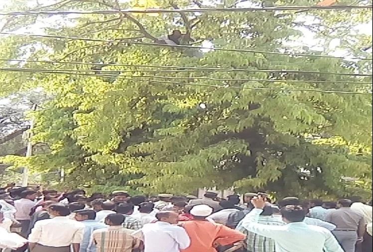 नामांकन खारिज होने पर गुस्साया प्रत्याशी, पेड़ पर चढ़कर दी फांसी लगाने की धमकी