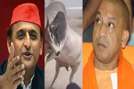 मुख्यमंत्री योगी से मिलने आया था वो सांड -अखिलेश यादव मुख्यमंत्री योगी से मिलने आया था वो सांड -अखिलेश यादव