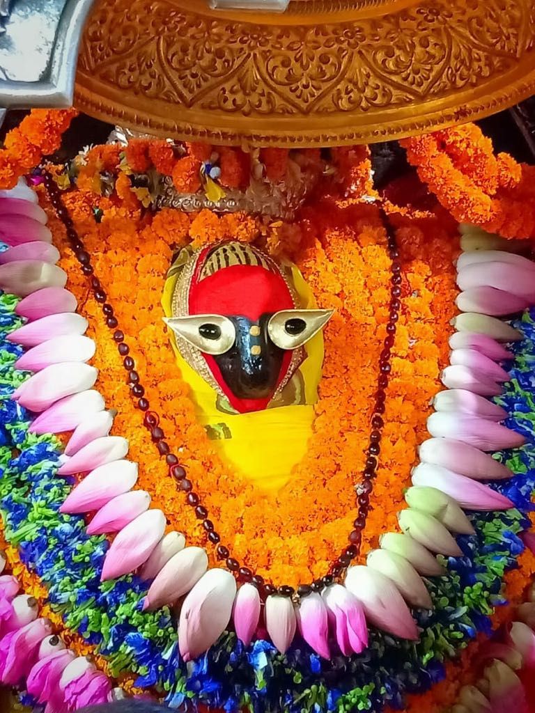 नवरात्र के आखिरी और नवमी के दिन मां विंध्यवासिनी के धाम में भक्तों को मां सिद्धिदात्री के कर रहे दर्शन, मां के धाम में भक्तों का उमड़ा शैलाब, माँ के दर्शन मात्र से ही भक्तों की सभी मनोकामनाएं होती ह