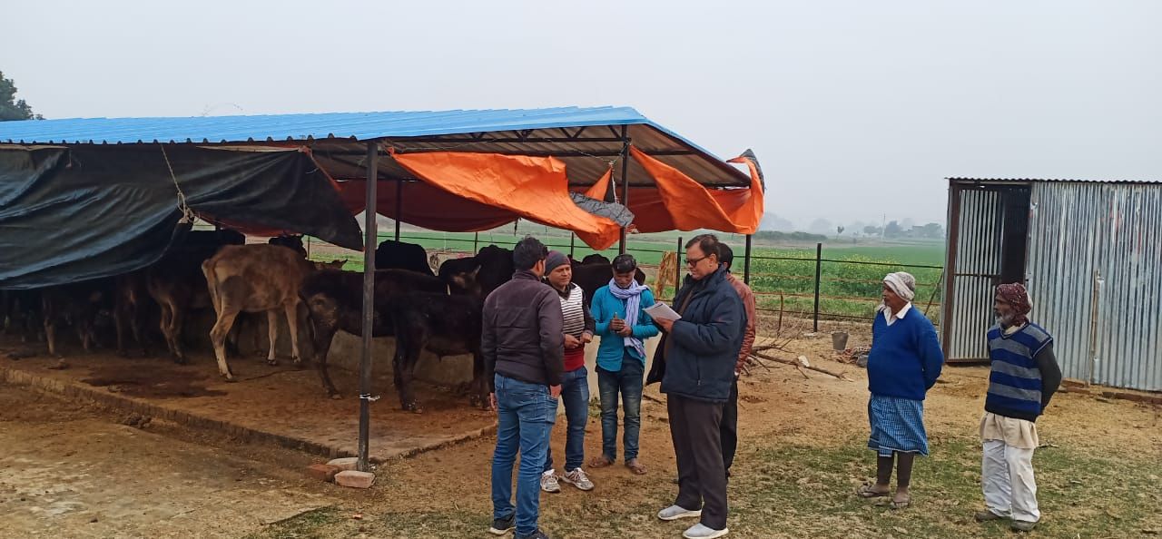 संयुक्त निदेशक ने किया पशु आश्रय केंद्र का निरीक्षण संयुक्त निदेशक ने किया पशु आश्रय केंद्र का निरीक्षण