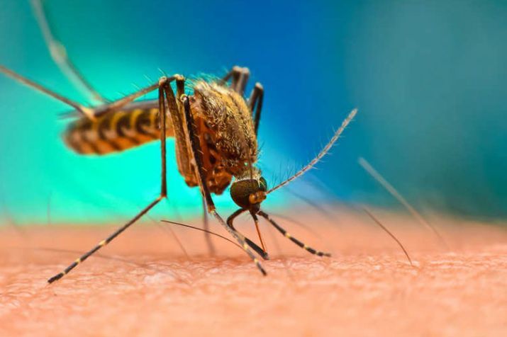 प्रमुख सचिव नवनीत सहगल समेत 18 डेंगू की चपेट में, नौ साल की बच्ची की मौत