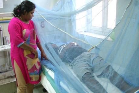 स्वास्थ्य मंत्री के गढ़ में स्वाइन फ्लू और डेंगू का कहर, 34 मौतों से मचा हड़कंप स्वास्थ्य मंत्री के गढ़ में स्वाइन फ्लू और डेंगू का कहर, 34 मौतों से मचा हड़कंप