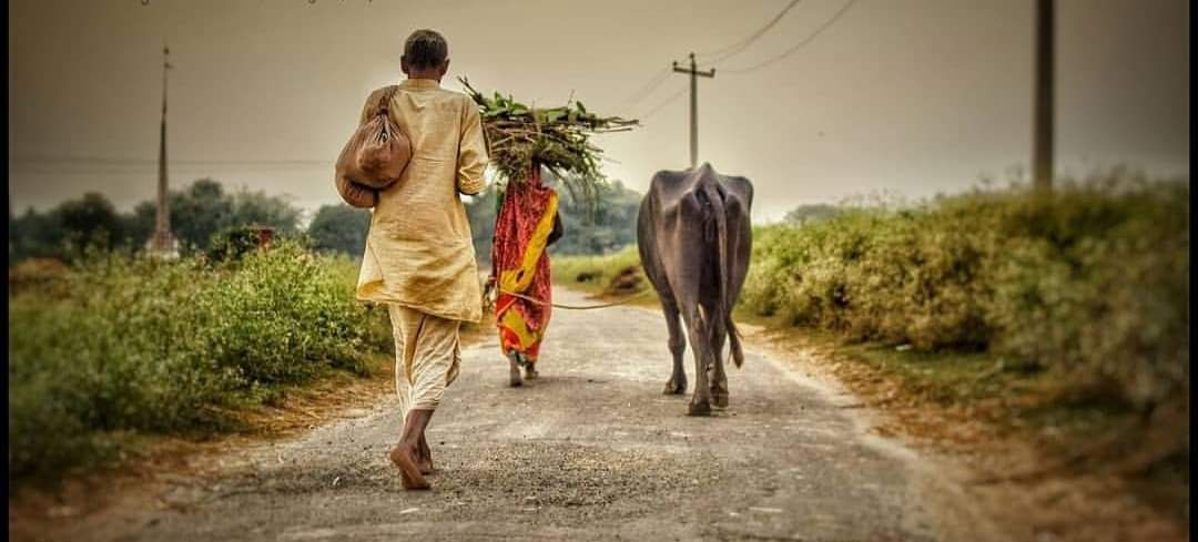 गाँव, मनोहर- संगीता की शादी और कोरोना माई