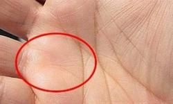 हस्तरेखा: हाथ में यह रेखा स्पष्ट हो तो उतनी ज्यादा होती है इसकी तरक्की की संभावना हस्तरेखा: हाथ में यह रेखा स्पष्ट हो तो उतनी ज्यादा होती है इसकी तरक्की की संभावना