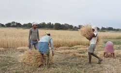 कृषि विधेयक - 2020 : संभावना और भ्रम कृषि विधेयक - 2020 : संभावना और भ्रम