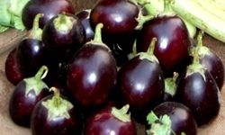 वो नकारा .... मै कोई बैगन बेचने आया  : अभय सिंह वो नकारा .... मै कोई बैगन बेचने आया  : अभय सिंह