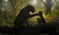 जंगल कथा : रिवेश प्रताप सिंह जंगल कथा : रिवेश प्रताप सिंह