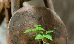 किसी ने कहा धर्म छुट्टी पर है...