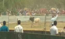 अखिलेश-मायावती का हेलीकाॅप्टर उतरने से पहले ही रैली स्थल के हेलीपैड पर पहुंचा सांड, मच गई भगदड़