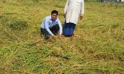 рдХреНрд░реЙрдк рдХрдЯрд┐рдВрдЧ рдХреЗ рдкреНрд░рдпреЛрдЧ рдХрд╛ рдЙрдк рдЬрд┐рд▓рд╛рдзрд┐рдХрд╛рд░реА рдиреЗ рдлрд╕рд▓ рдХрд╛рдЯ рдХреЗ рд╢реБрднрд╛рд░рдВрдн рдХрд┐рдпрд╛ рдХреНрд░реЙрдк рдХрдЯрд┐рдВрдЧ рдХреЗ рдкреНрд░рдпреЛрдЧ рдХрд╛ рдЙрдк рдЬрд┐рд▓рд╛рдзрд┐рдХрд╛рд░реА рдиреЗ рдлрд╕рд▓ рдХрд╛рдЯ рдХреЗ рд╢реБрднрд╛рд░рдВрдн рдХрд┐рдпрд╛