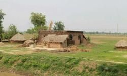 (कहानी) मौत : असित कुमार मिश्र (कहानी) मौत : असित कुमार मिश्र