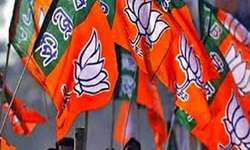 272+ के दावे पर आश्वस्त नजर नहीं आ रहे हैं BJP के ही सीनियर नेता