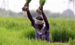 कृषि अध्यादेश - 2020, मोदी और किसान आंदोलन कृषि अध्यादेश - 2020, मोदी और किसान आंदोलन