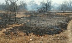 मेजा/इलाहाबाद अज्ञात कारणों से मेजा के जंगल में लगी भीषण आग चार पांच किलोमीटर के दायरे में आग का तांडव तीन फायर ब्रिगेड और वन कर्मियों ने पाया आग पर काबू बडा हादसा टला।